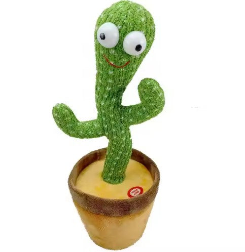 Marcuss Cactus
