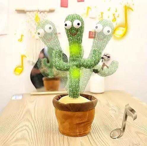 Marcuss Cactus
