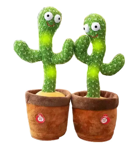 Marcuss Cactus